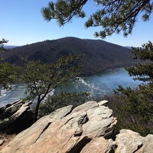 Meet your Posher, K.